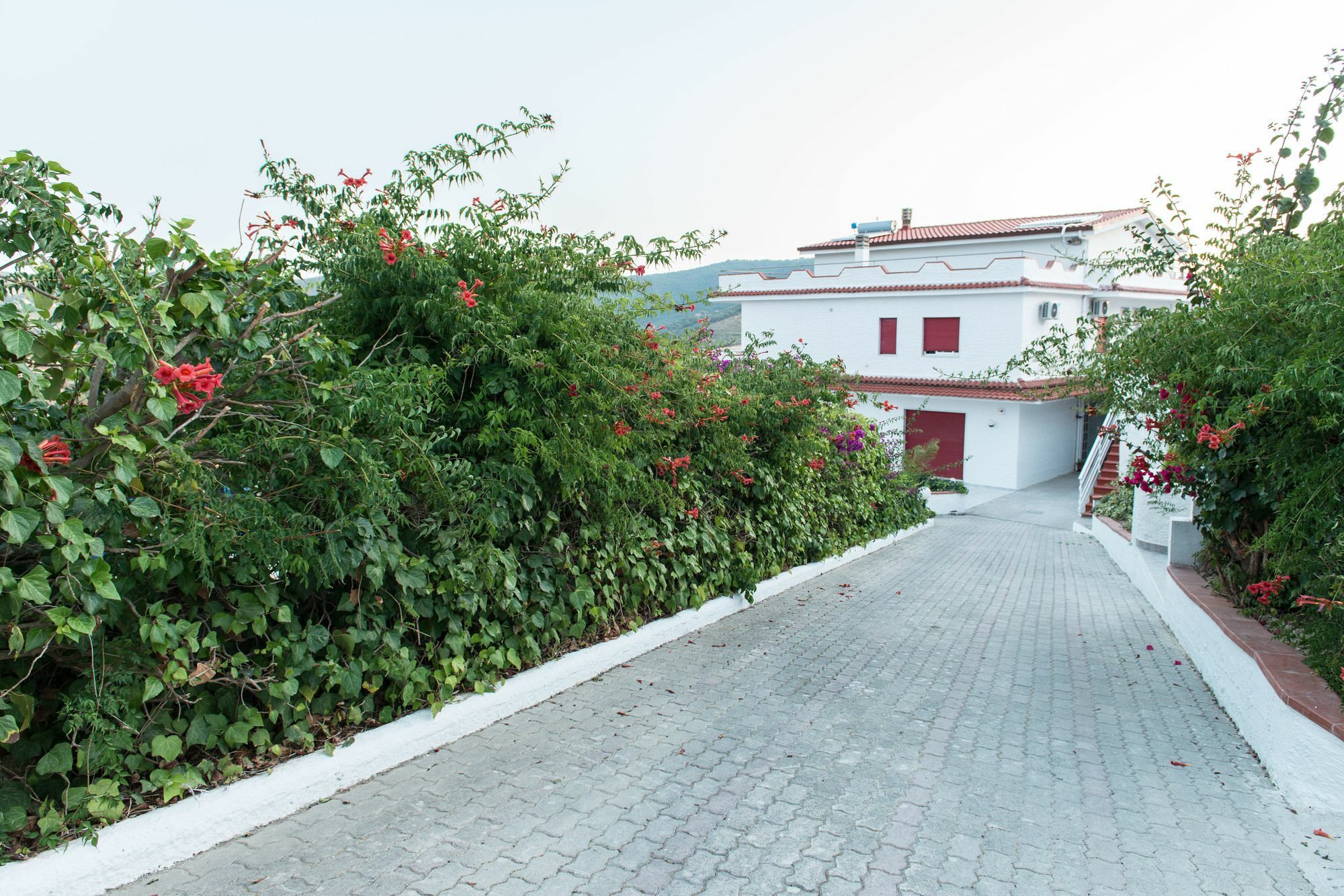 Villa Milena Agropoli Exterior photo